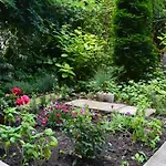Apartmán Center With A Backyard