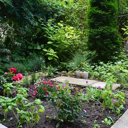 Lejlighed Center With A Backyard